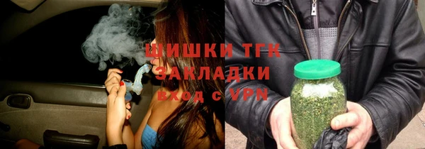 прущий лед Вяземский