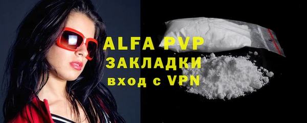 прущий лед Вяземский