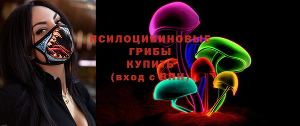 прущий лед Вяземский