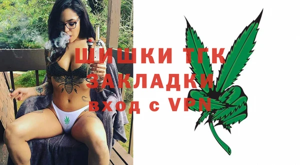 прущий лед Вяземский