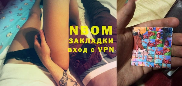 прущий лед Вяземский