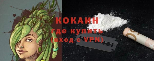 прущий лед Вяземский