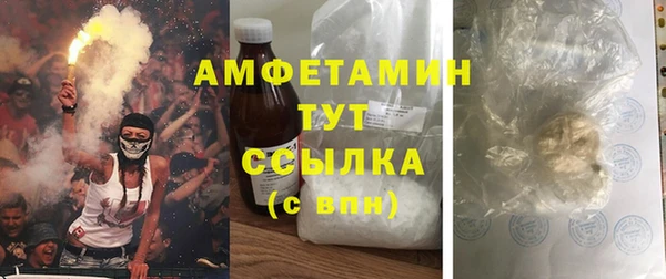 прущий лед Вяземский